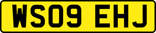 WS09EHJ