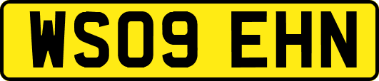 WS09EHN