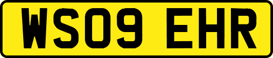 WS09EHR