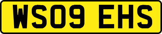 WS09EHS