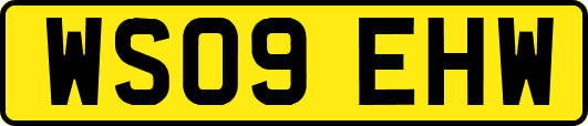 WS09EHW
