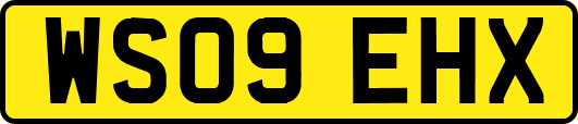 WS09EHX