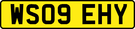 WS09EHY