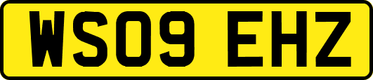 WS09EHZ