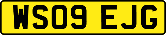 WS09EJG