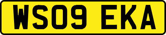 WS09EKA