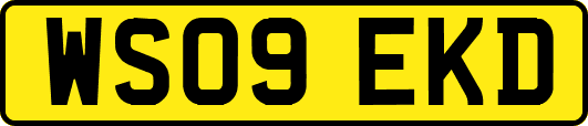 WS09EKD