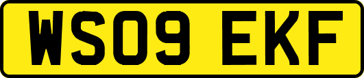 WS09EKF