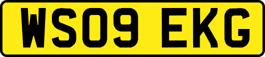 WS09EKG