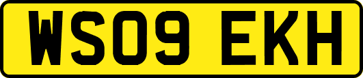 WS09EKH