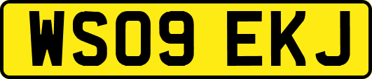 WS09EKJ