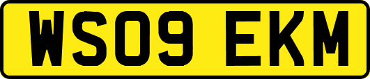WS09EKM
