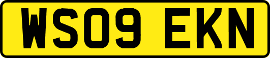 WS09EKN