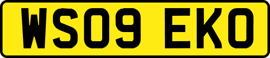 WS09EKO
