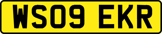 WS09EKR