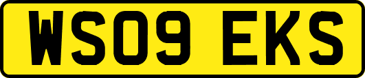 WS09EKS