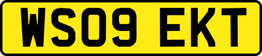 WS09EKT