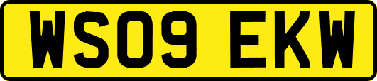 WS09EKW