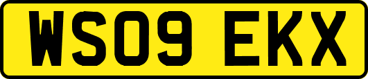 WS09EKX