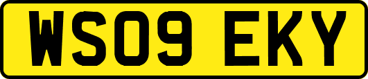 WS09EKY