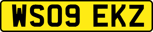 WS09EKZ