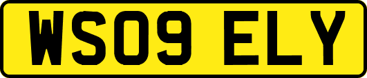 WS09ELY