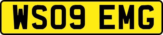 WS09EMG