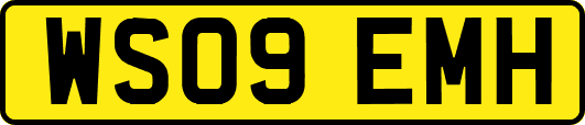WS09EMH