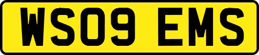 WS09EMS