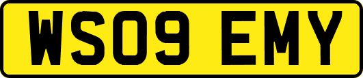 WS09EMY