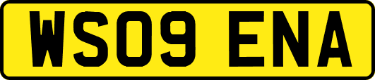 WS09ENA