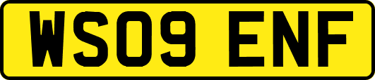 WS09ENF