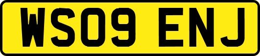 WS09ENJ