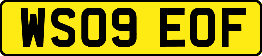 WS09EOF