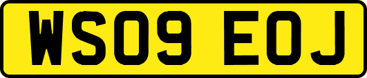 WS09EOJ