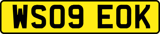 WS09EOK