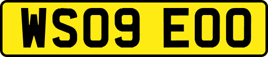WS09EOO