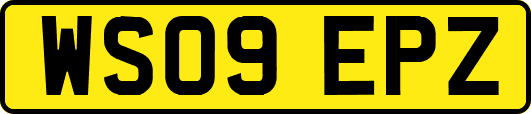 WS09EPZ