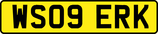 WS09ERK