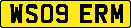 WS09ERM