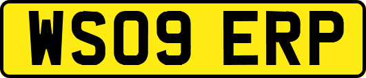 WS09ERP