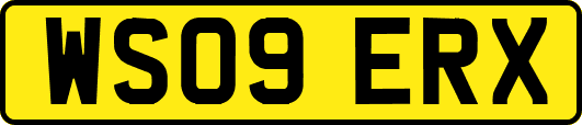 WS09ERX
