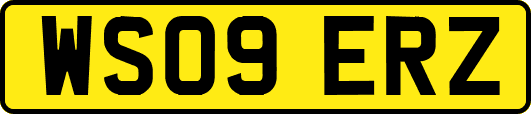WS09ERZ
