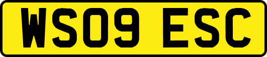 WS09ESC