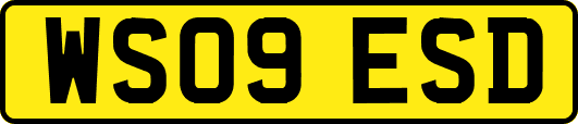 WS09ESD