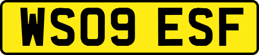 WS09ESF
