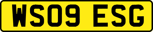 WS09ESG