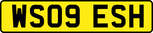 WS09ESH