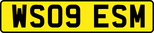 WS09ESM