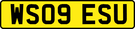 WS09ESU